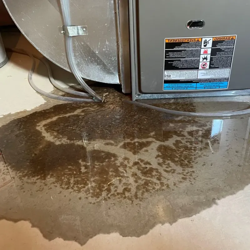 Pipe Burst and Leak Restoration in Thurmont, MD