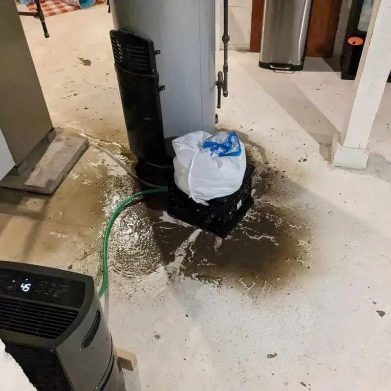 Sewage Backup Cleanup Service in Thurmont, MD